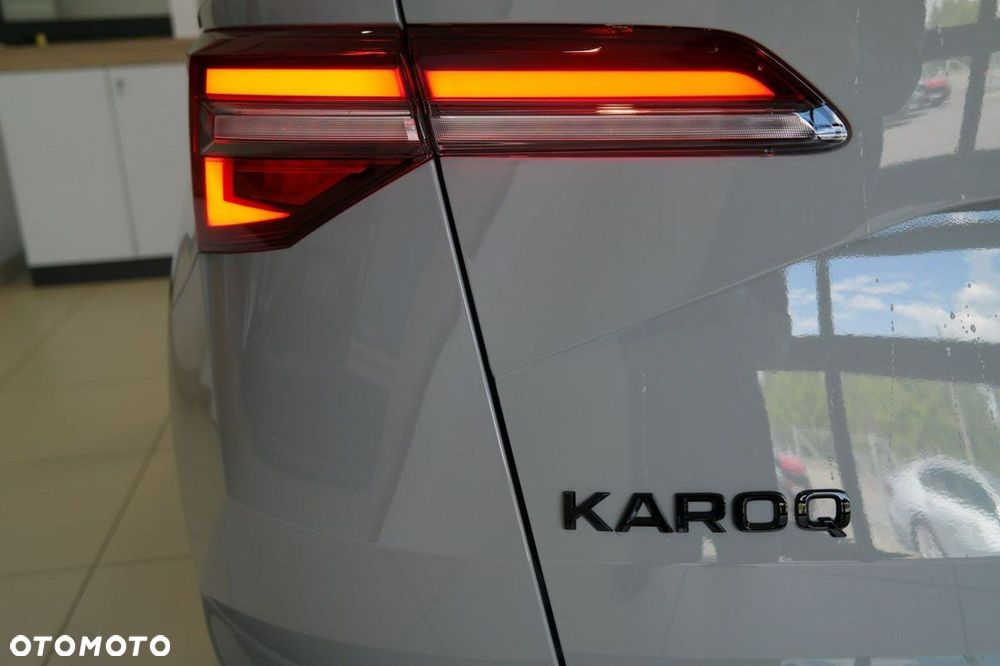 Skoda Karoq - 10