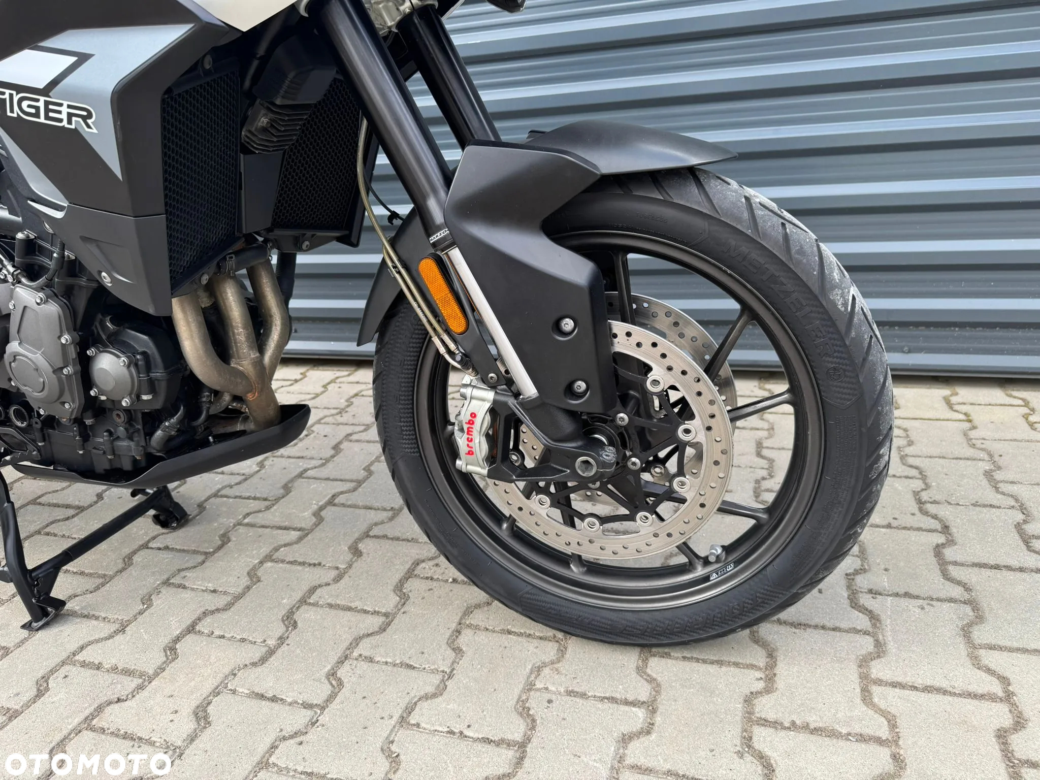 Triumph Tiger - 16