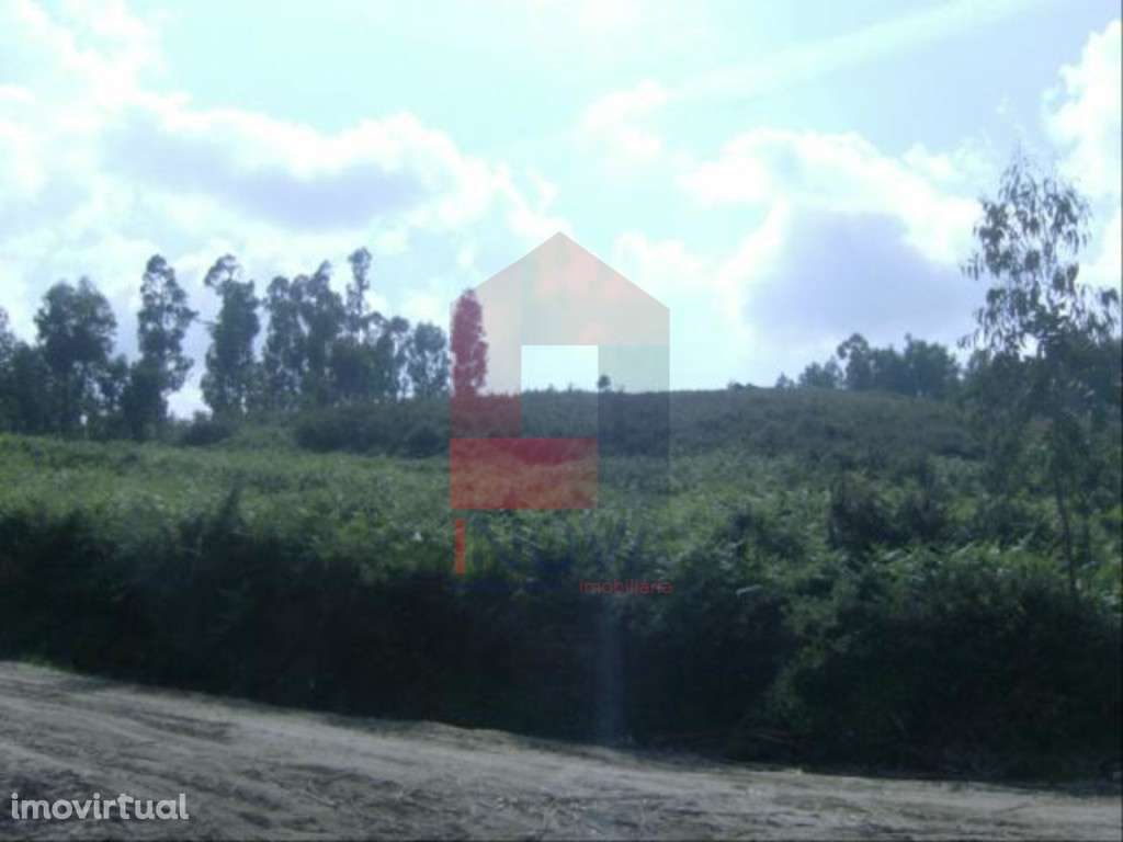 Terreno, Dossãos - Grande imagem: 2/3