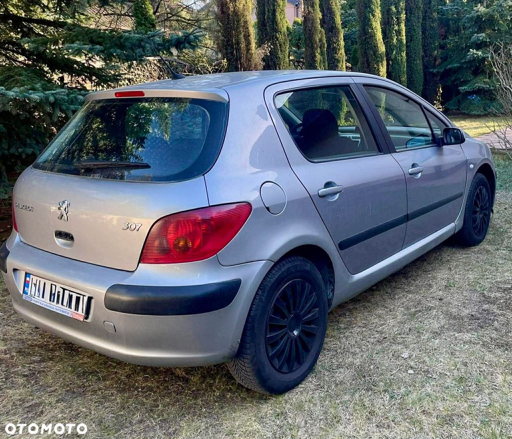 Peugeot 307 1.6 XS - 2