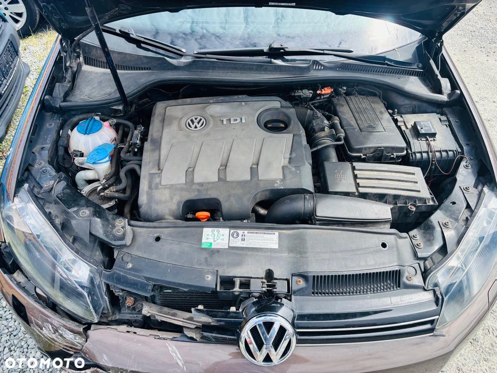 Volkswagen Golf 1.6 TDI DPF MATCH - 15