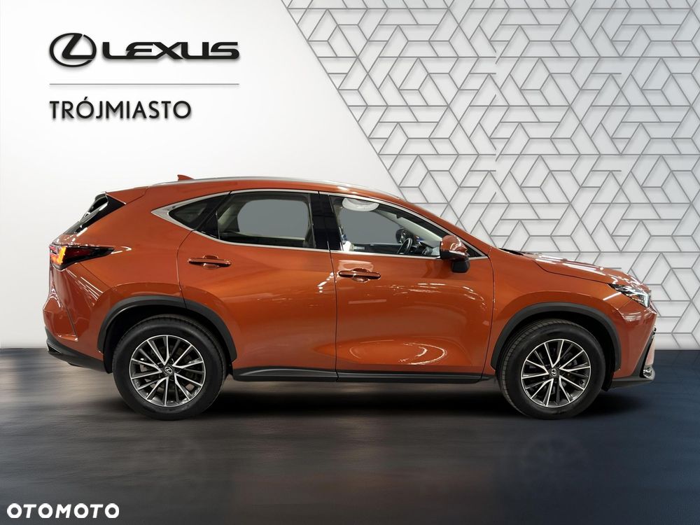 Lexus NX 350h Business AWD - 7