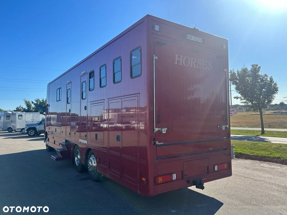 Scania R340 Koniowóz POP OUT - 7