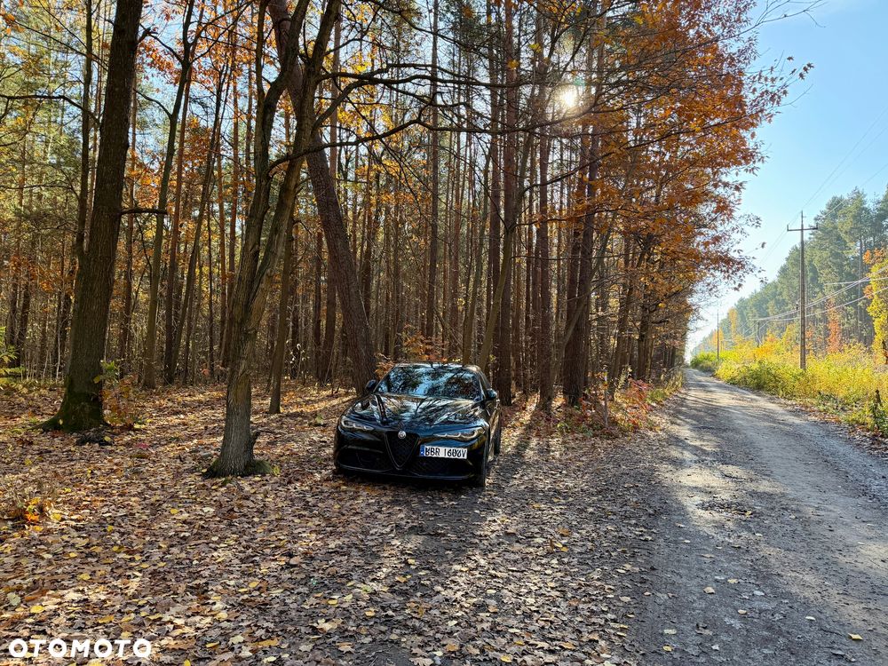 Alfa Romeo Giulia 2.9 V6 Bi-Turbo AT8 Quadrifoglio - 19