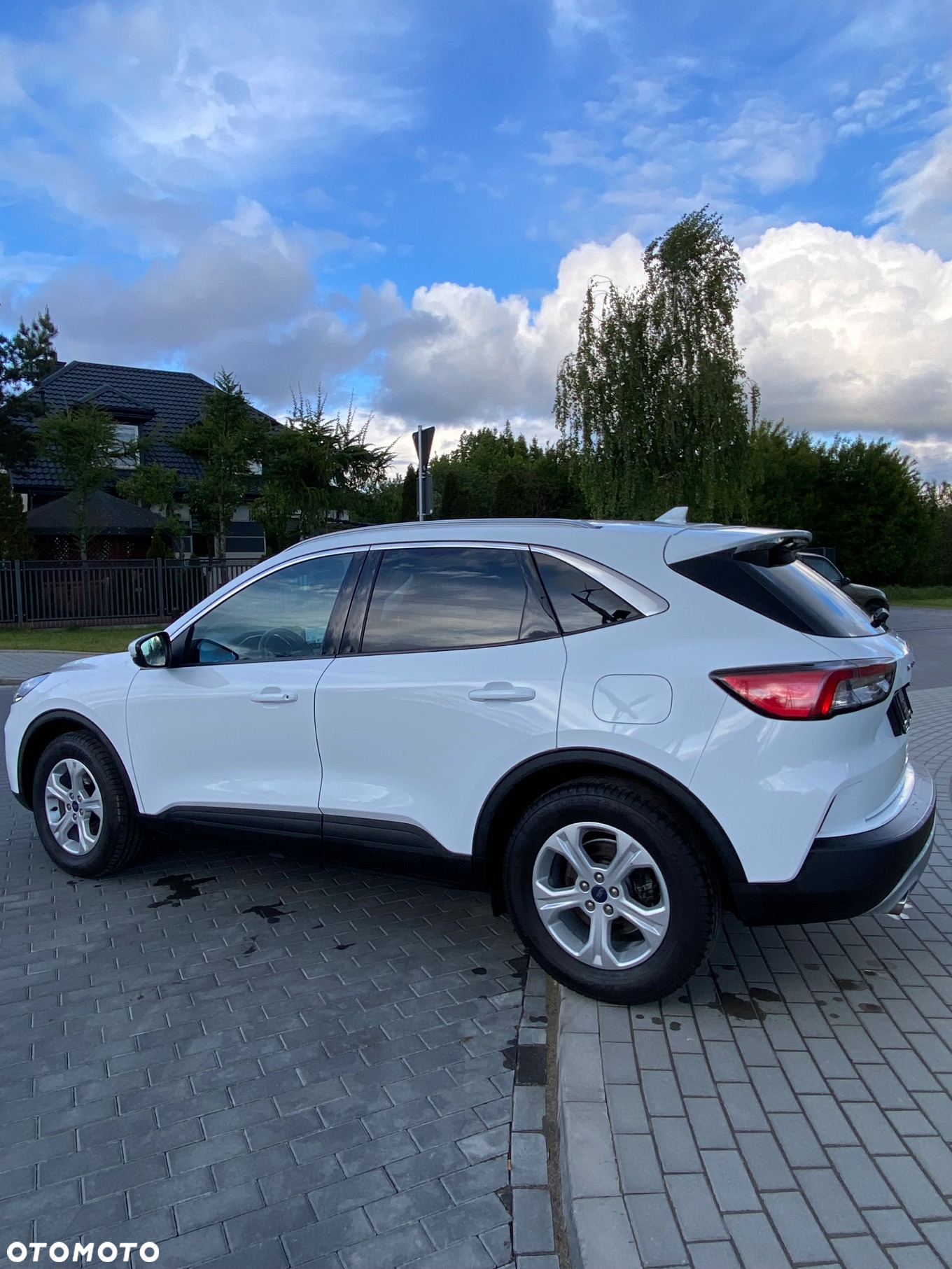 Ford Kuga 1.5 EcoBlue FWD Titanium - 20