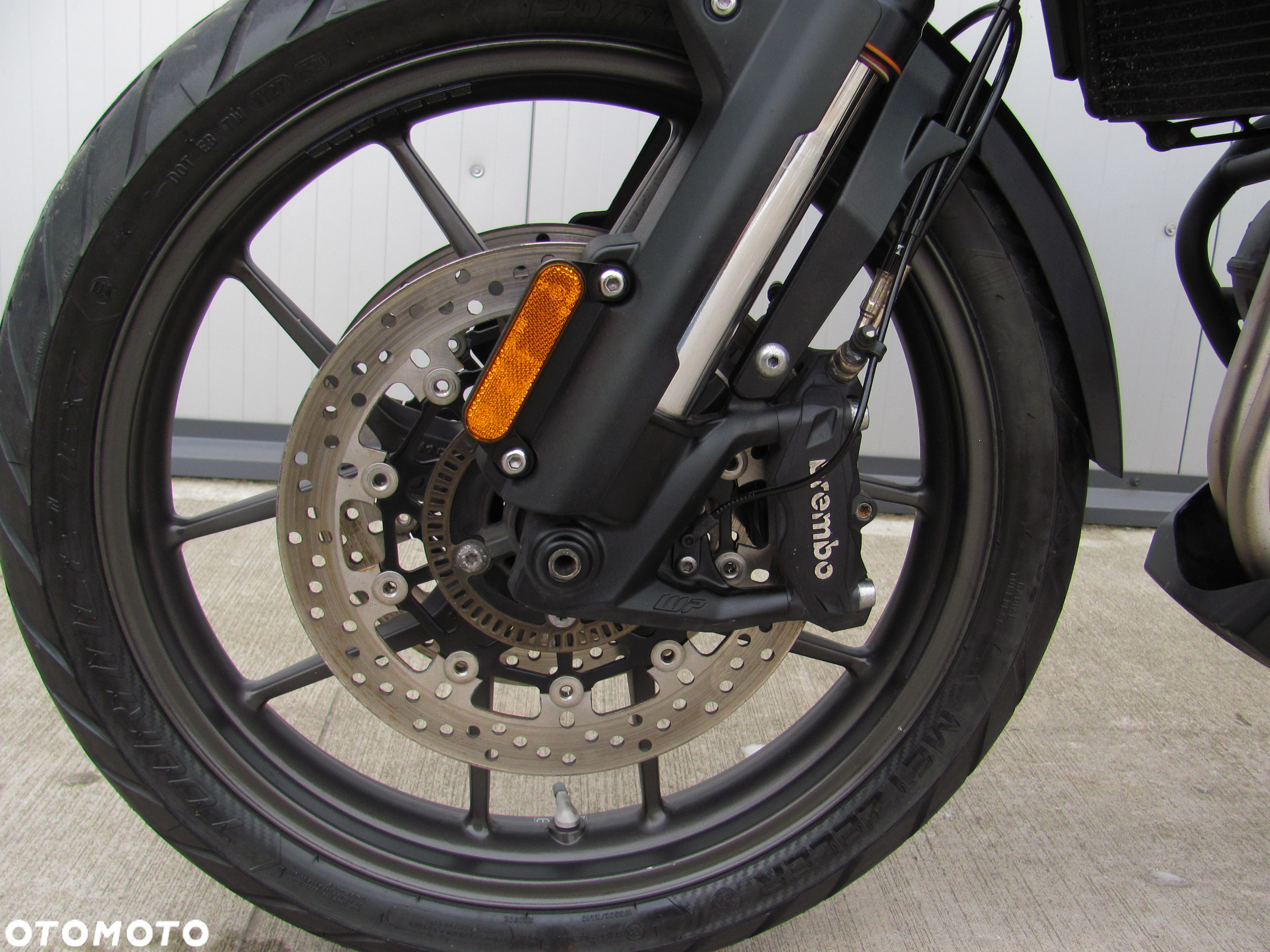Triumph Tiger - 17