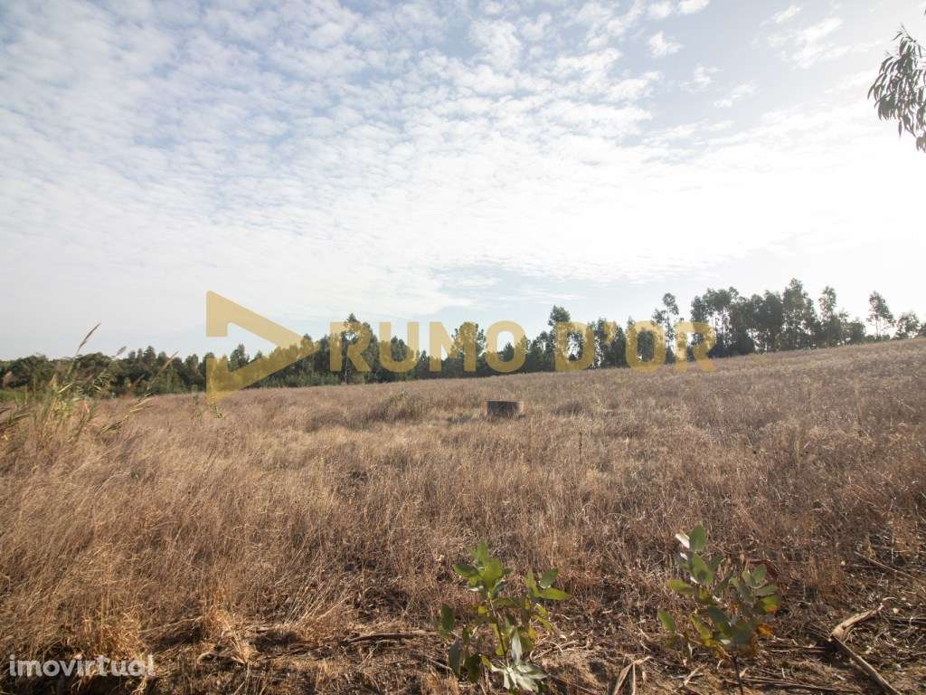 Terreno Misto - Surraipas, Freguesia de Olhalvo (Alenquer) - Grande imagem: 4/9