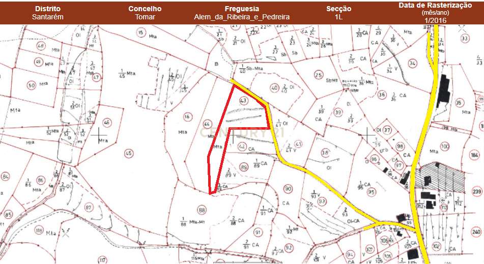 Terreno Rústico com 4.800 m² | Casais Bacelos – Tomar - Grande imagem: 4/4