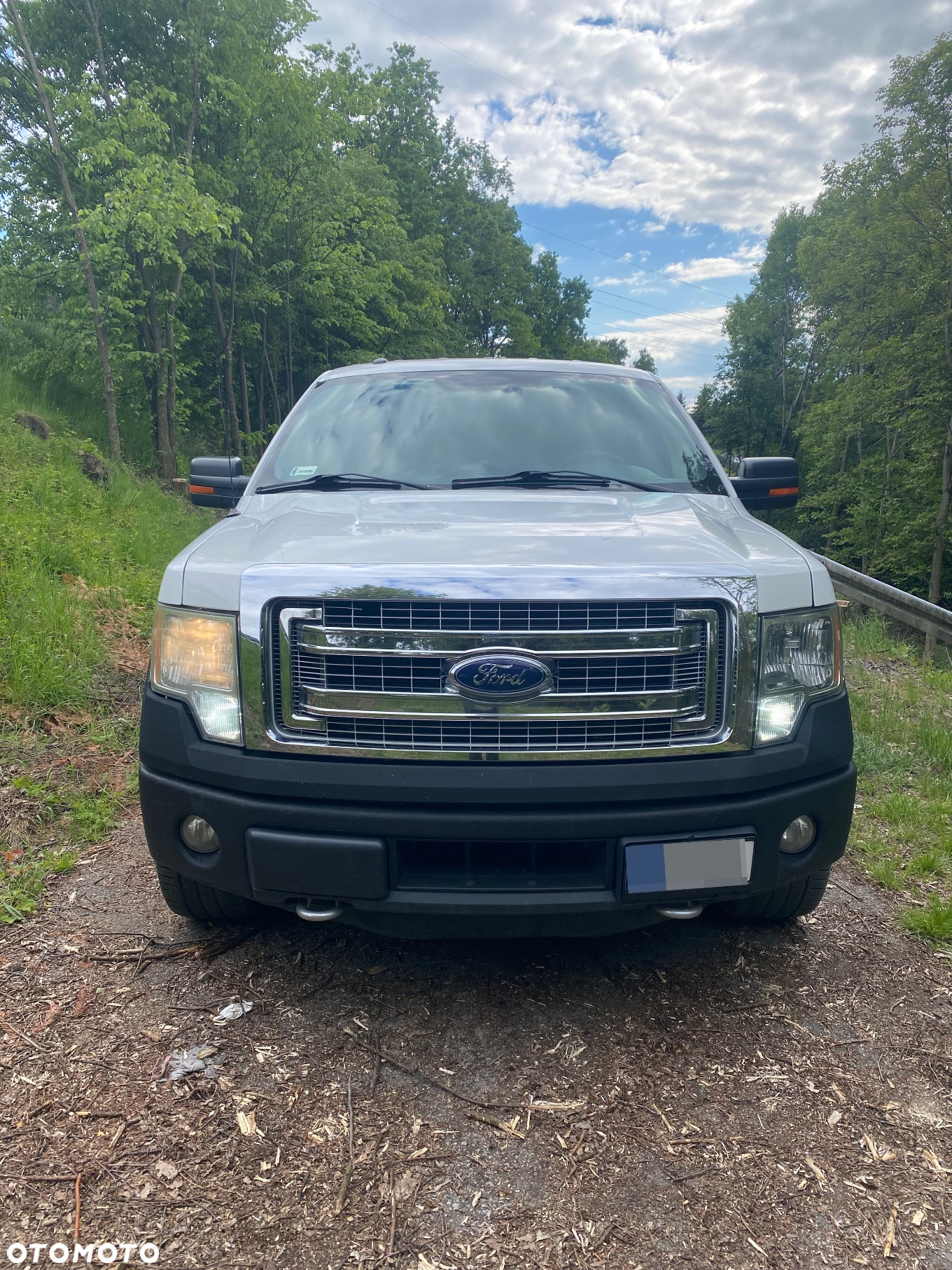 Ford F150 - 17