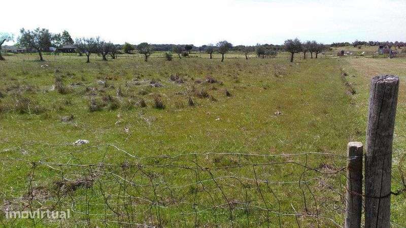 Quintinha com 0,6 Hectare - Grande imagem: 3/6