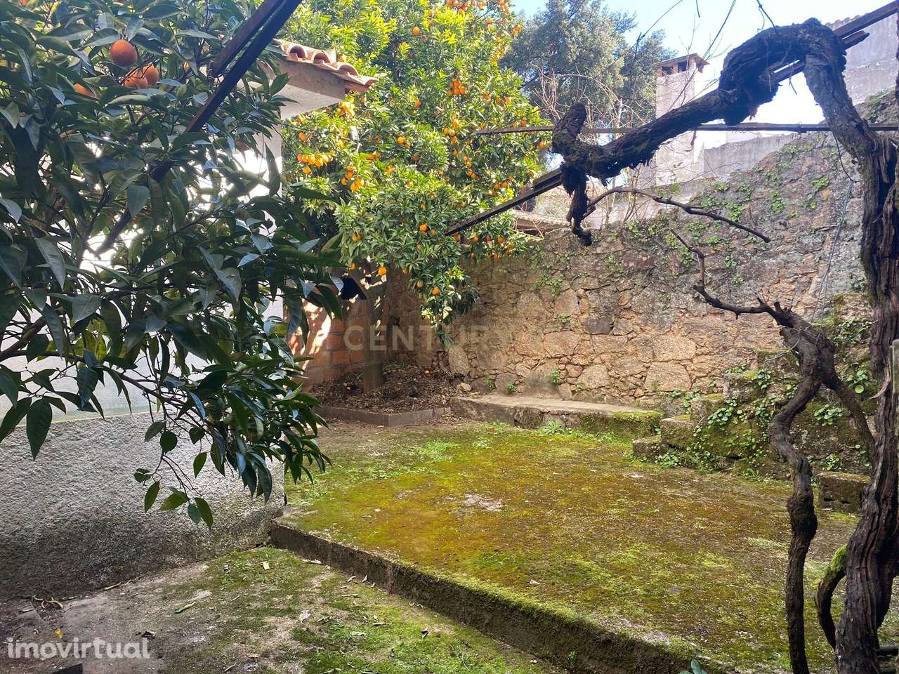 Casa para Recuperação em Escalos de Cima, Castelo Branco - Grande imagem: 4/19