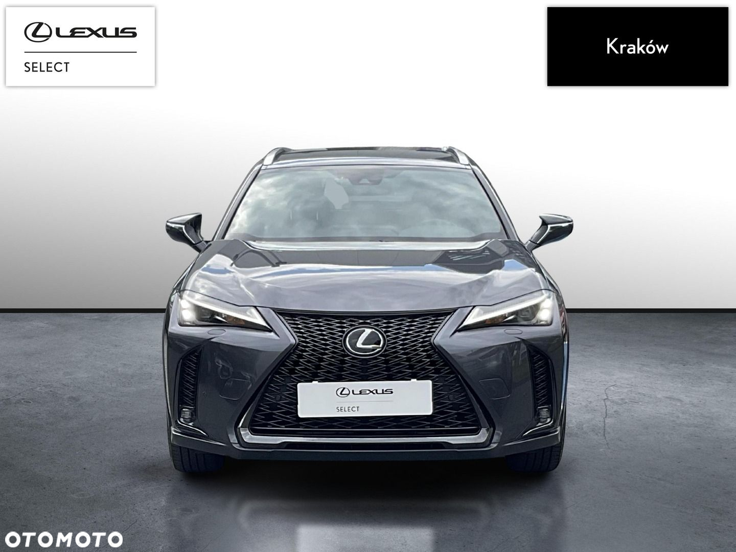 Lexus UX - 8