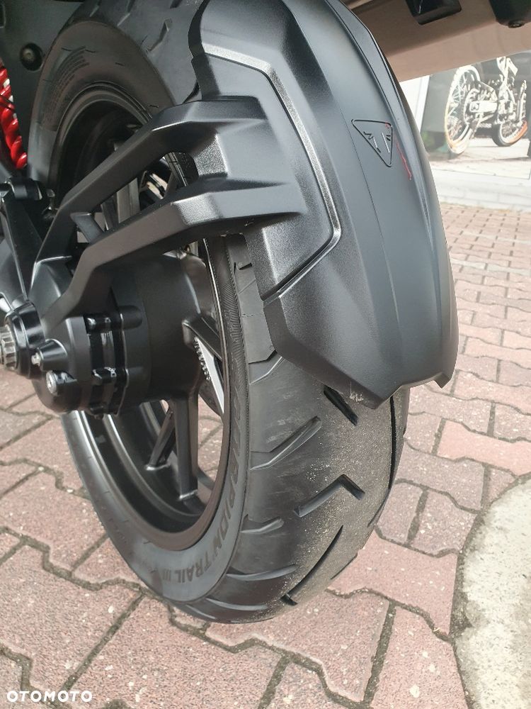 Triumph Tiger - 10