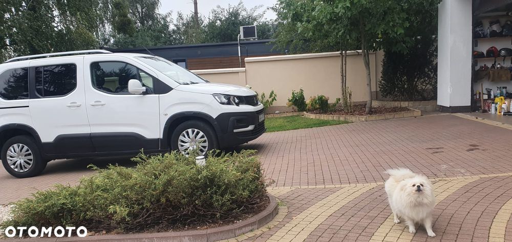 Peugeot Rifter 2018 photo 3