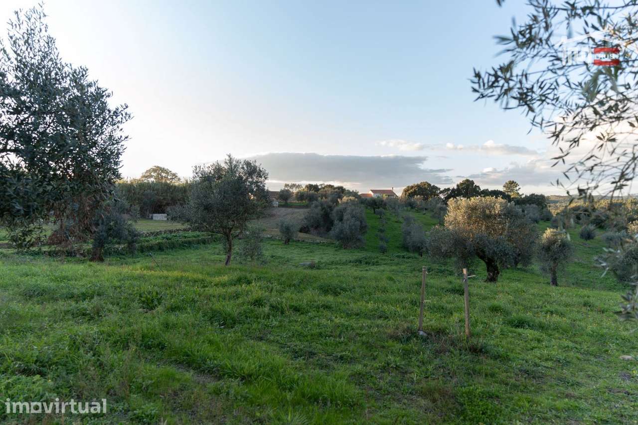 Terreno para construção, Atouguia - Grande imagem: 2/7