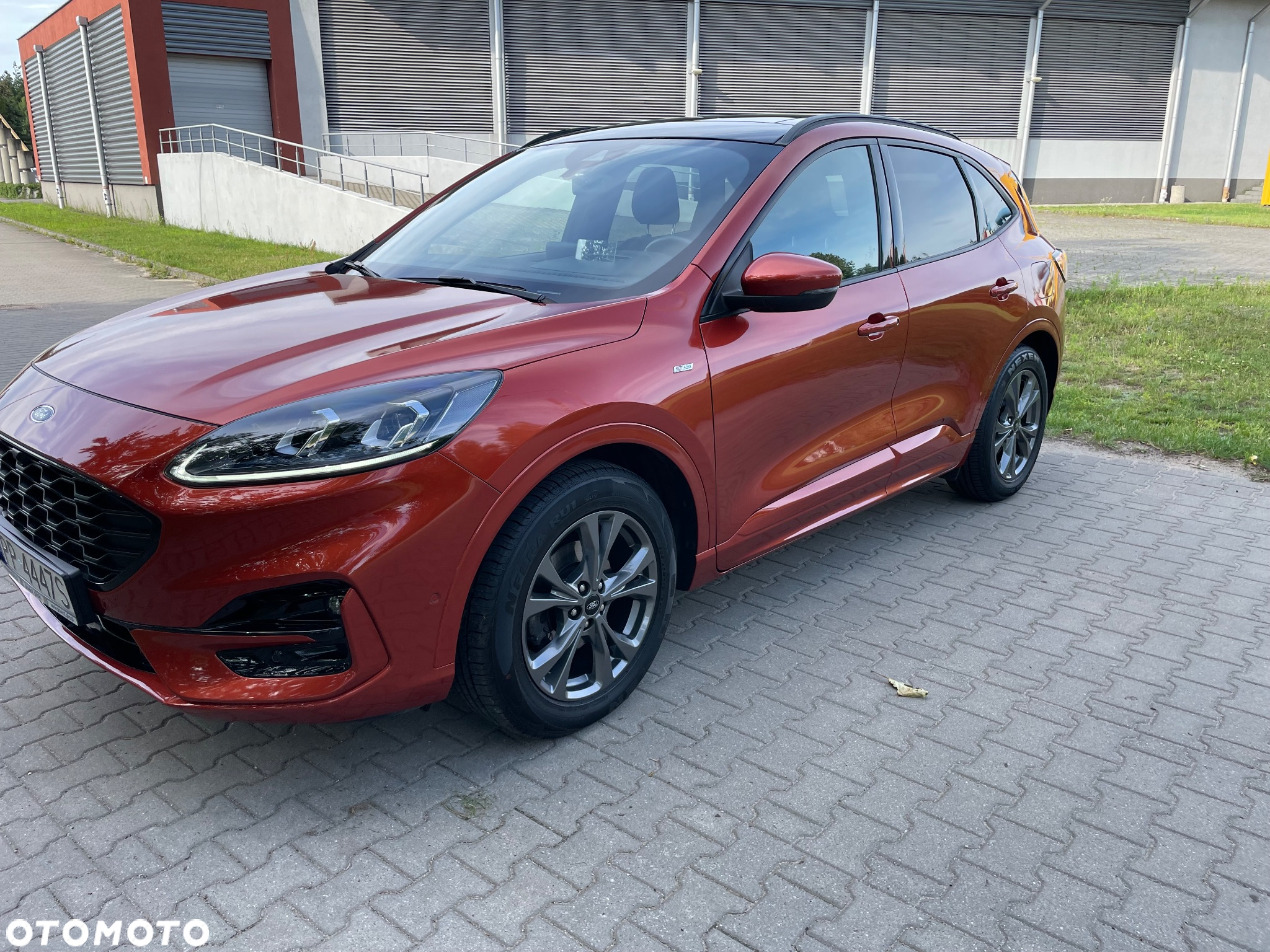 Ford Kuga 2.0 EcoBlue 4x4 ST-LINE - 2