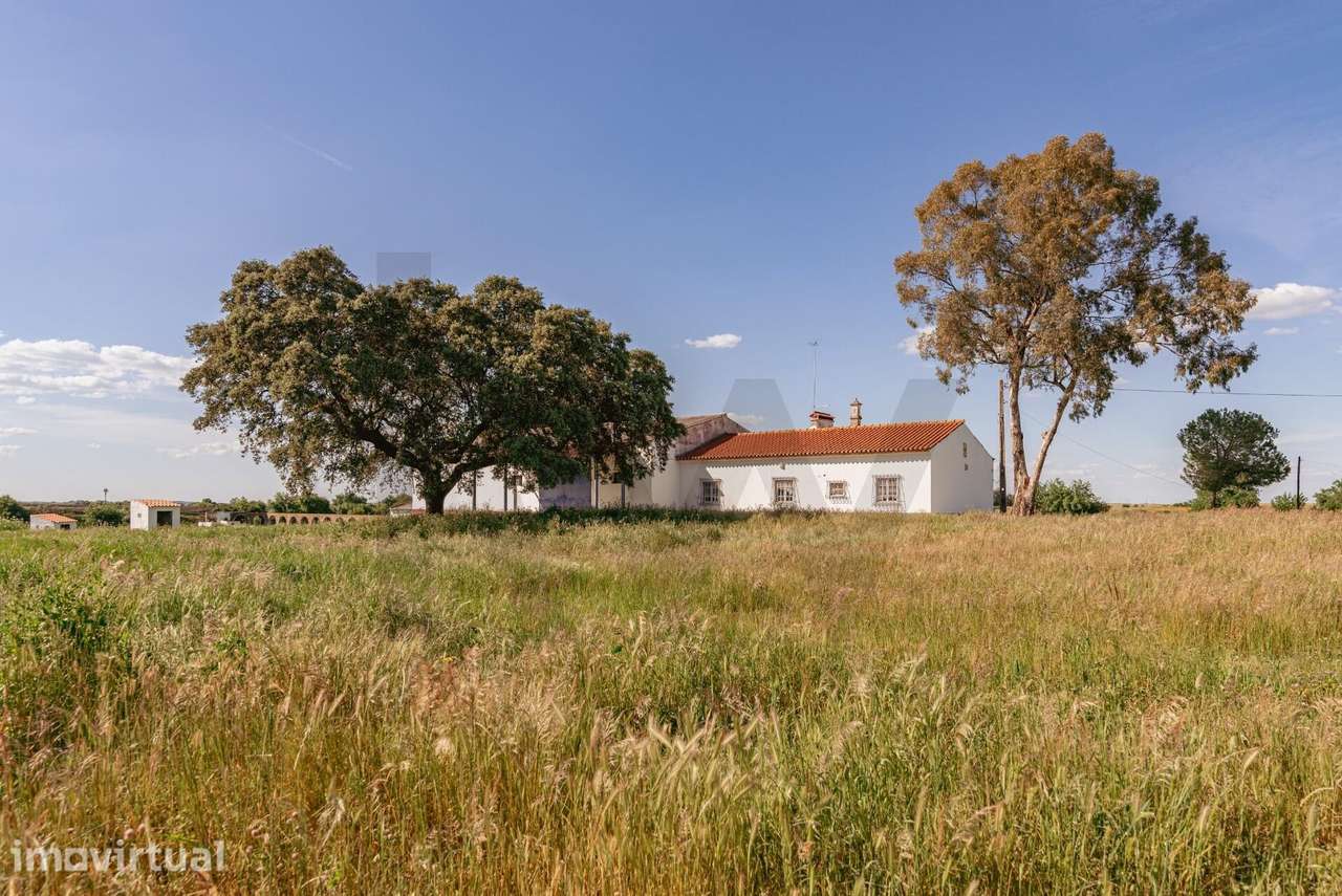 Propriedade no Alentejo criada para os aficionados d’arte equestre Vi - Grande imagem: 2/60