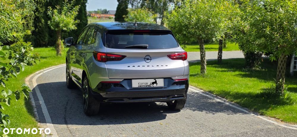 Opel Grandland X - 14