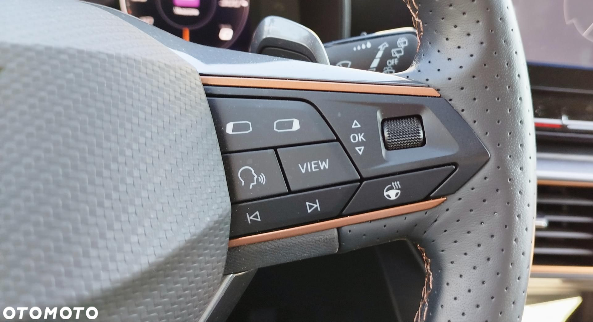 Cupra Formentor 1.5 TSI DSG - 18