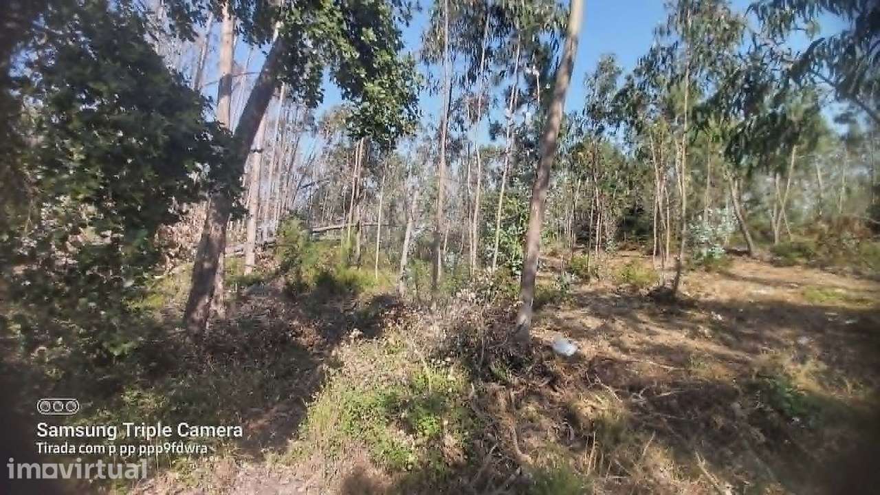 Terreno  para venda - Grande imagem: 4/11