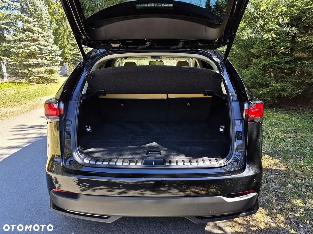 Lexus NX 300h Elite AWD - 26