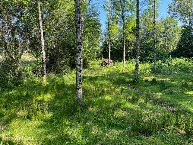 Terreno Rústico à Venda em Perozelo, Penafiel – Perfeito para Moradia - Grande imagem: 3/42