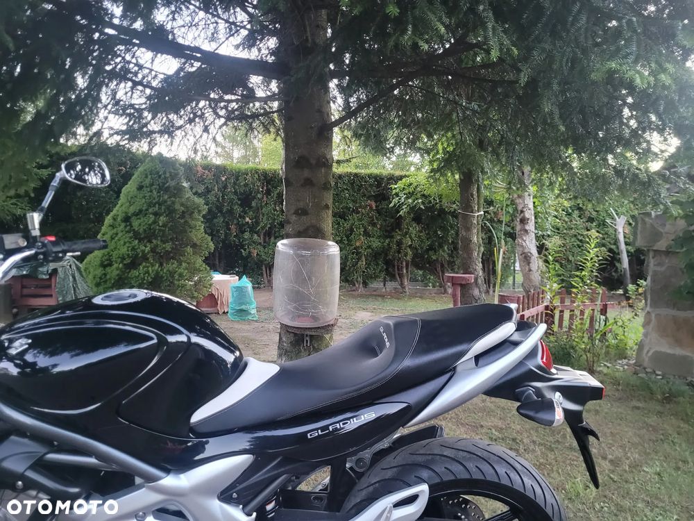 Suzuki Gladius - 26