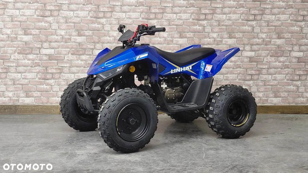Linhai ATV - 1