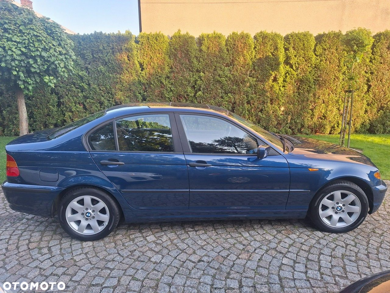 BMW Seria 3 318i Edition Exclusive - 5