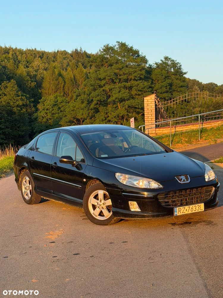 Peugeot 407 - 6