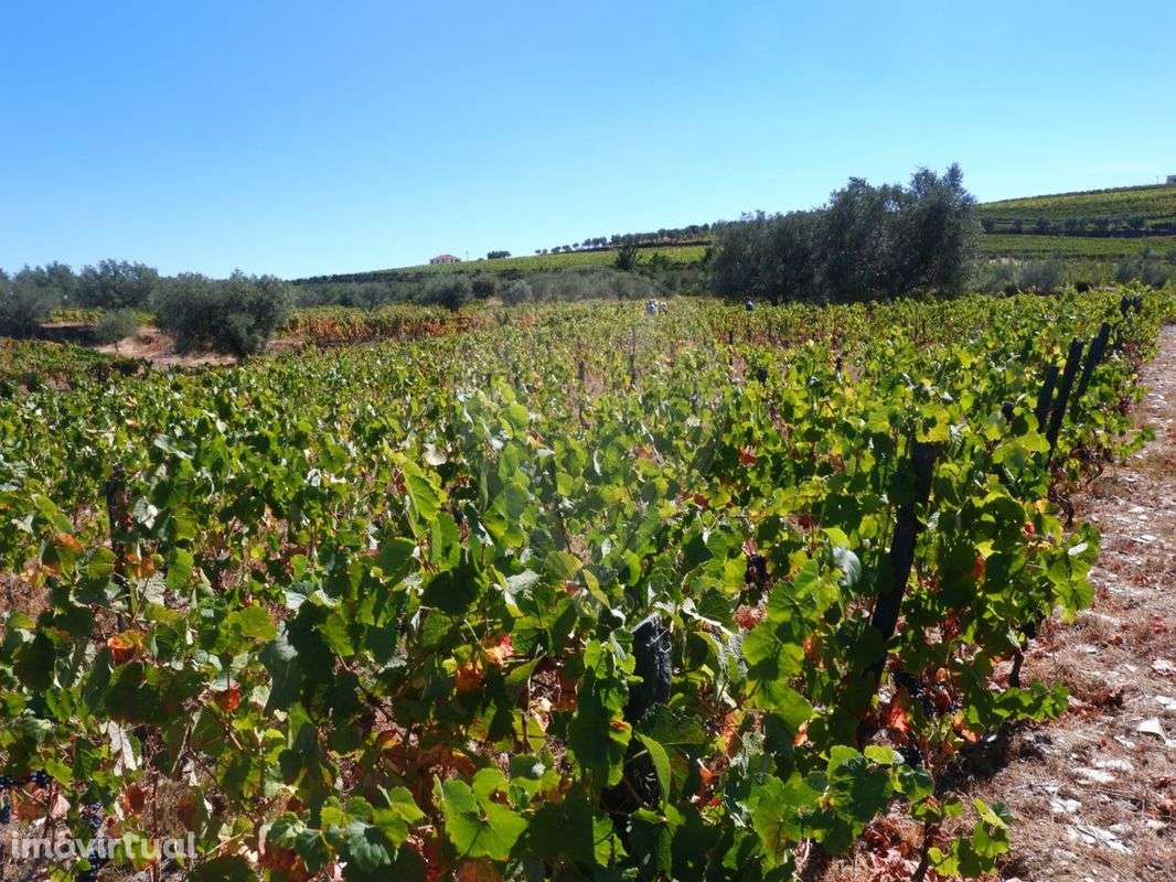 Quinta  para venda - Grande imagem: 4/25