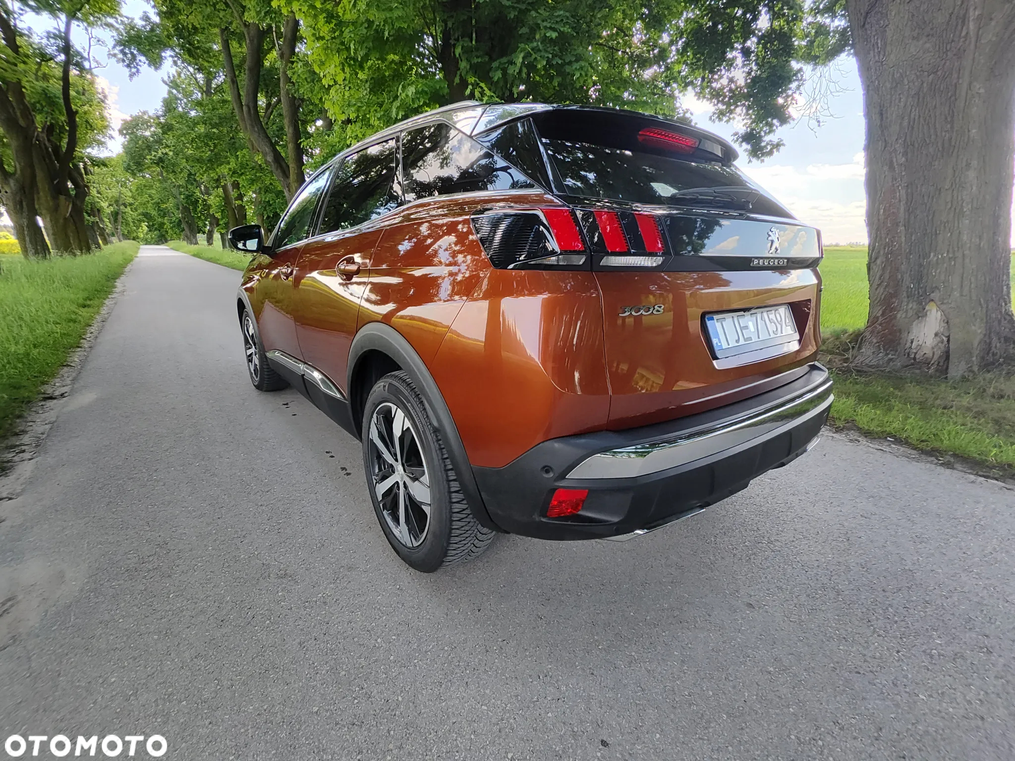 Peugeot 3008 2.0 BlueHDi GT S&S EAT8 - 19
