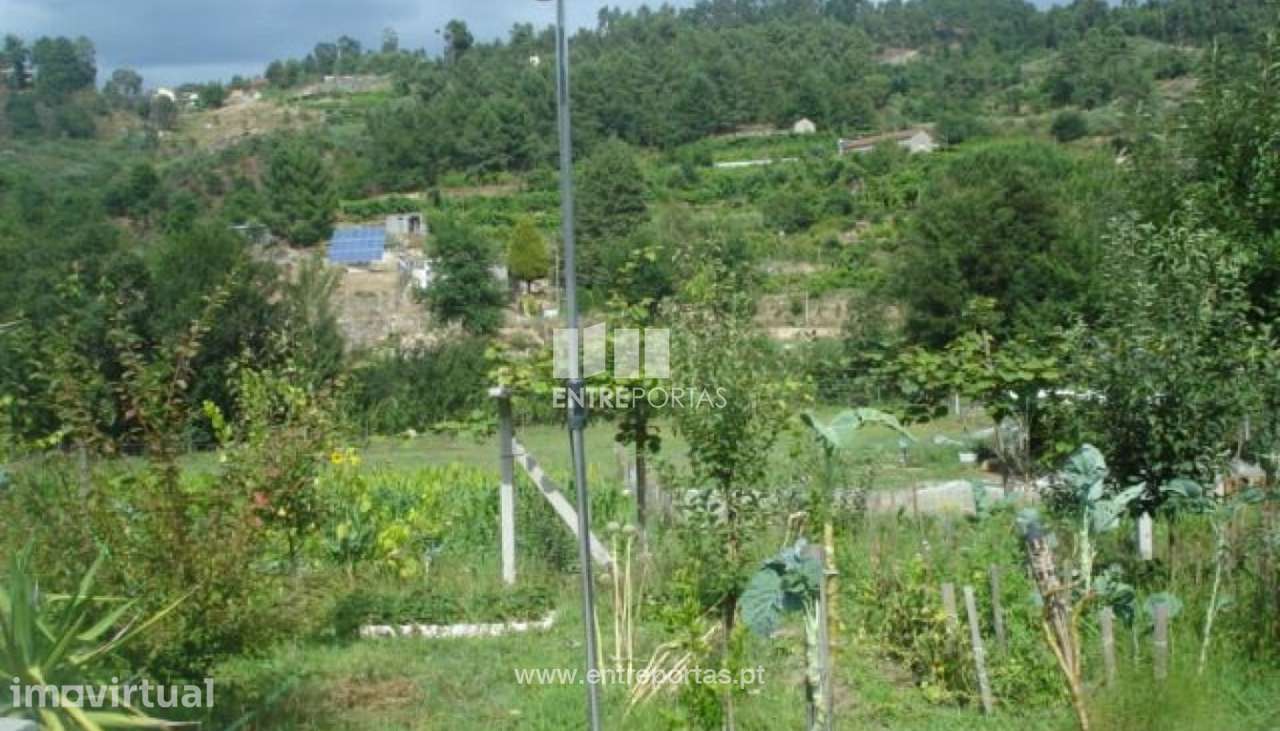 Venda Terreno, piscina, Freixo, Marco de Canaveses - Grande imagem: 5/12