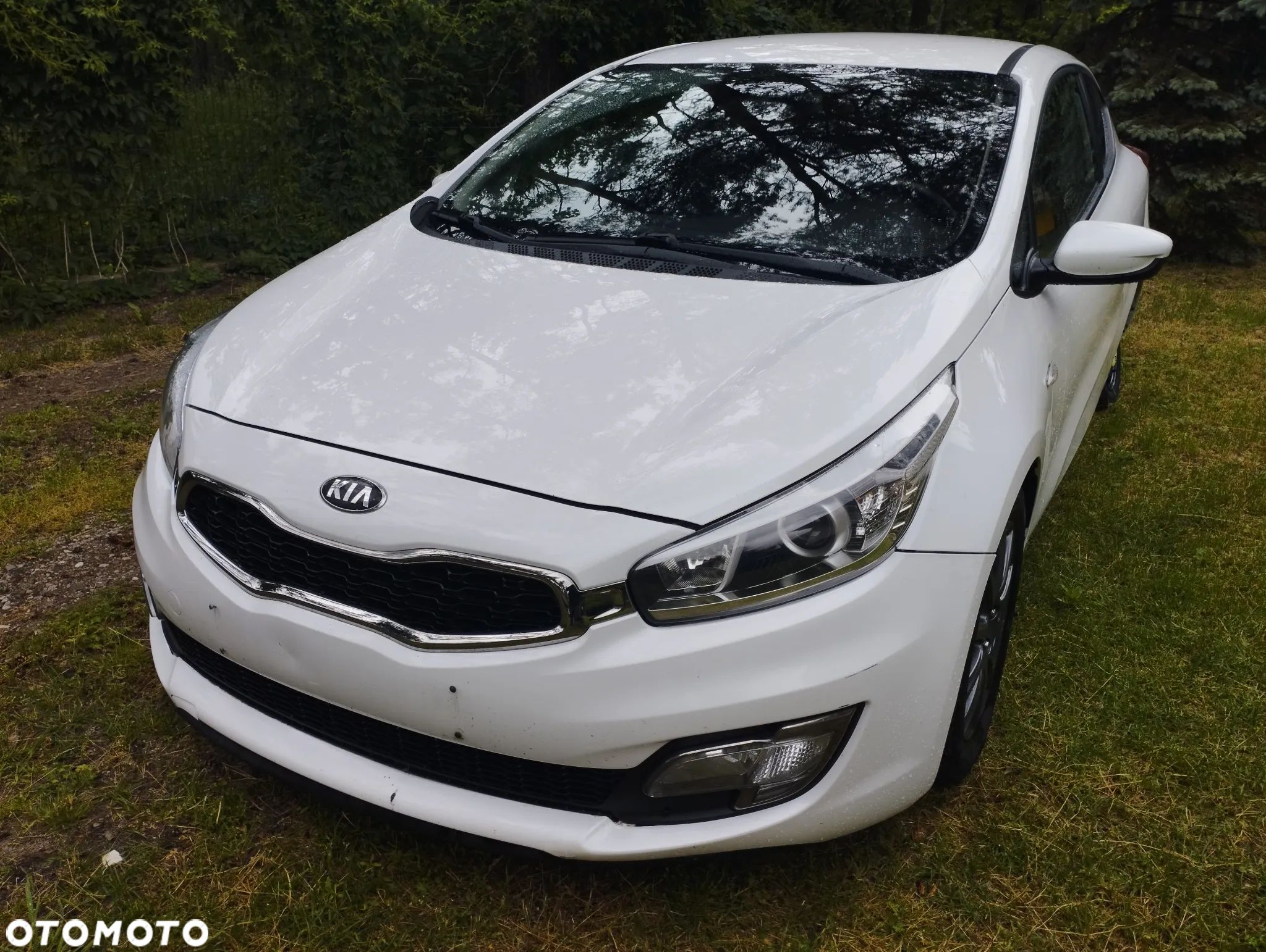 Kia ProCeed Pro_cee'd 1.4 CRDI L - 1