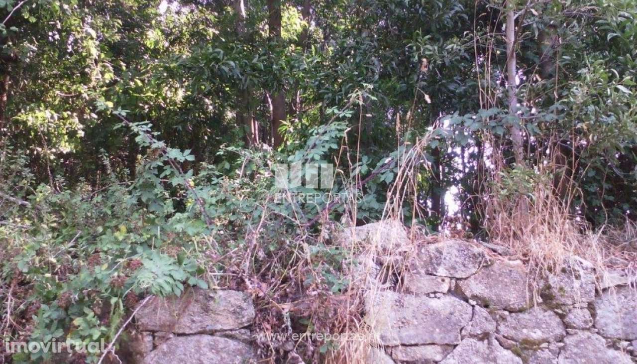Venda de terreno, Canidelo, Vila do Conde - Grande imagem: 3/13