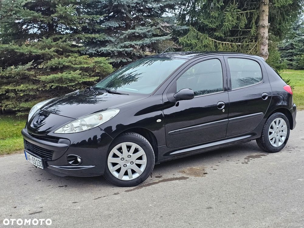 Peugeot 206 plus - 29