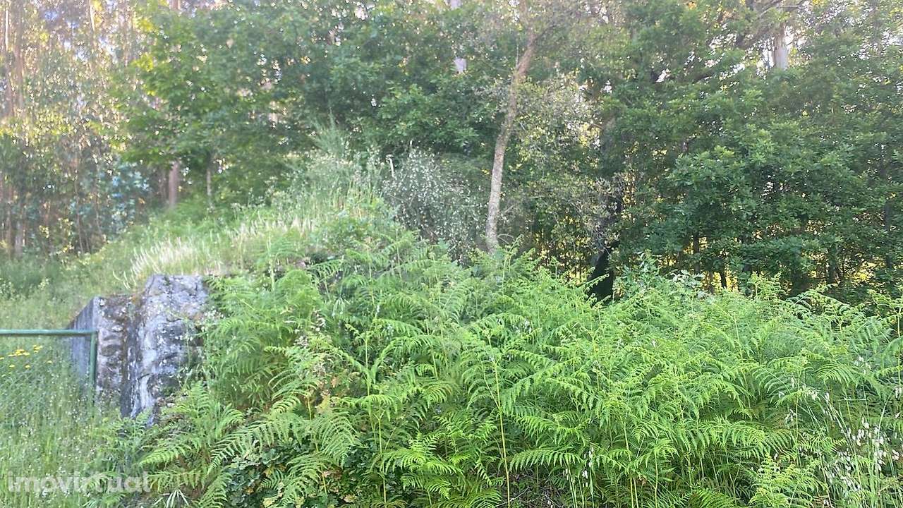 Terreno  para venda - Grande imagem: 2/4