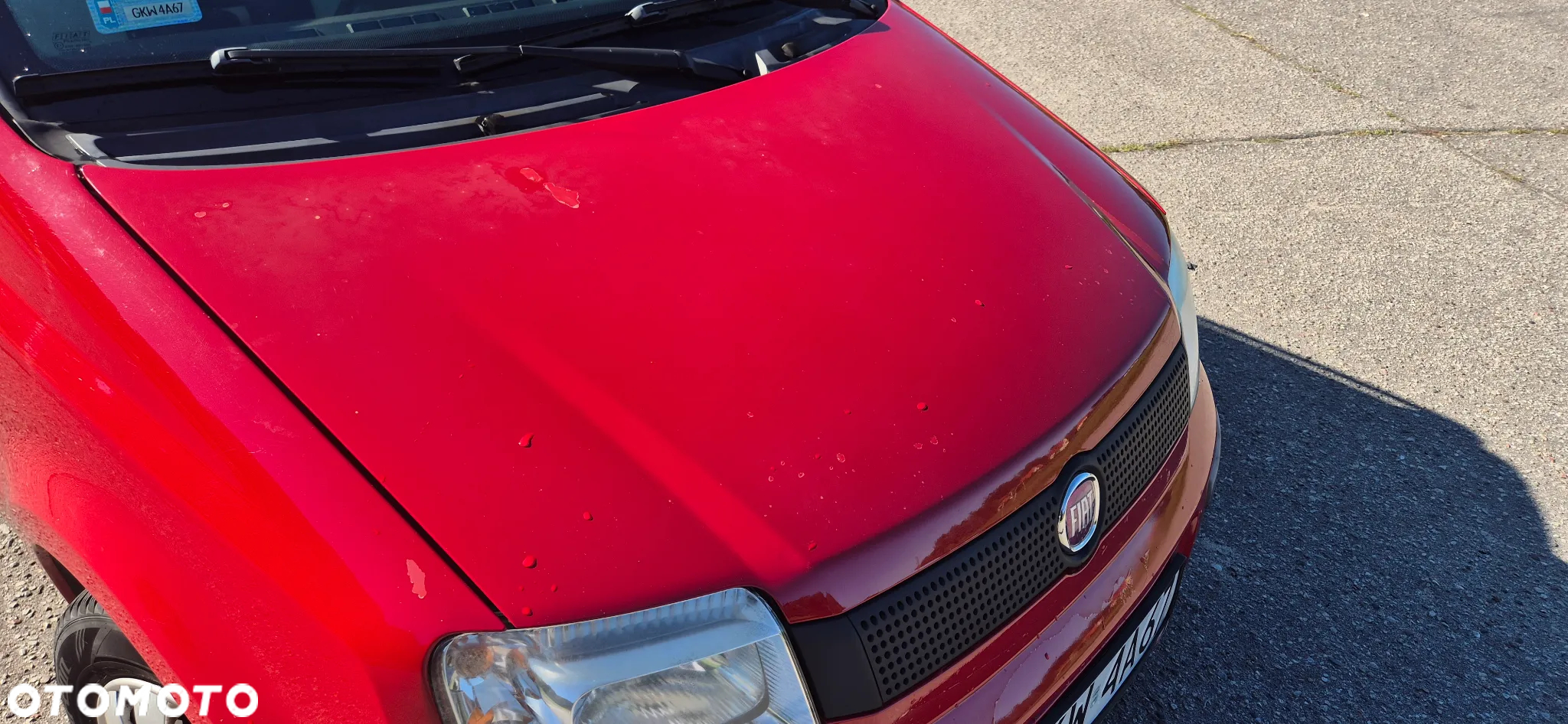 Fiat Panda 1.2 Classic Eco - 4