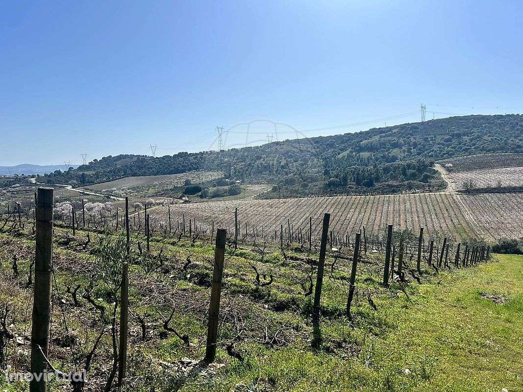 Terreno  para venda - Grande imagem: 5/19