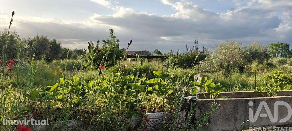 Prédio T3 em Ladoeiro de 210,00 m2 - Grande imagem: 3/26