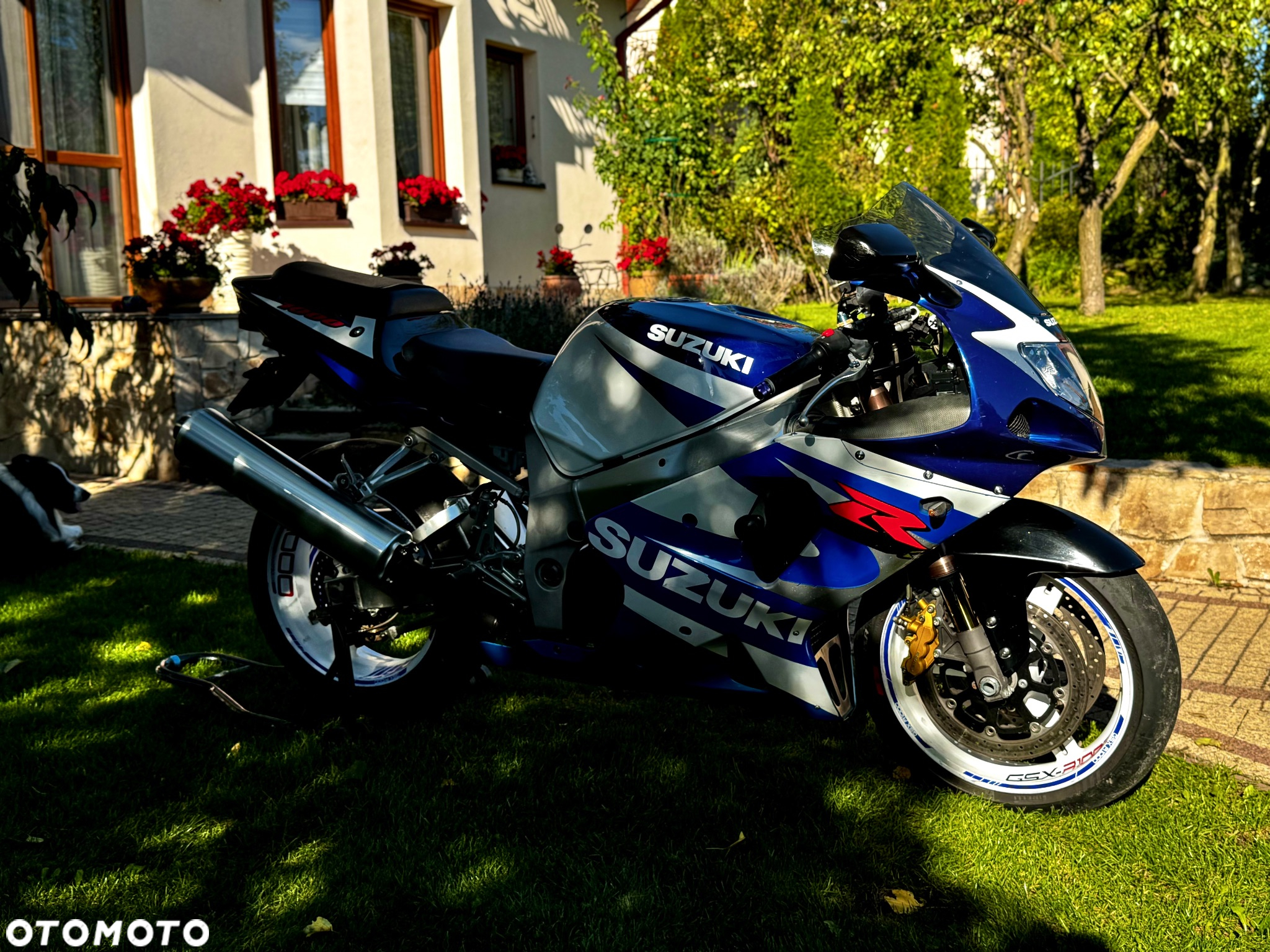 Suzuki GSX-R - 2