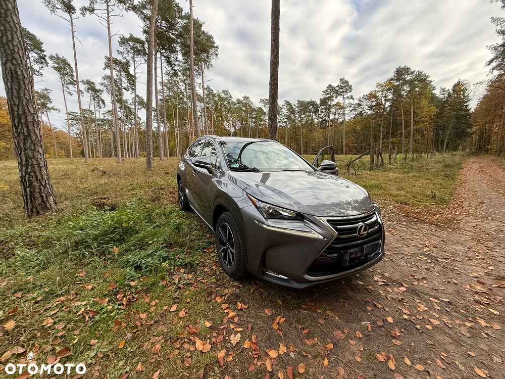 Lexus NX - 14