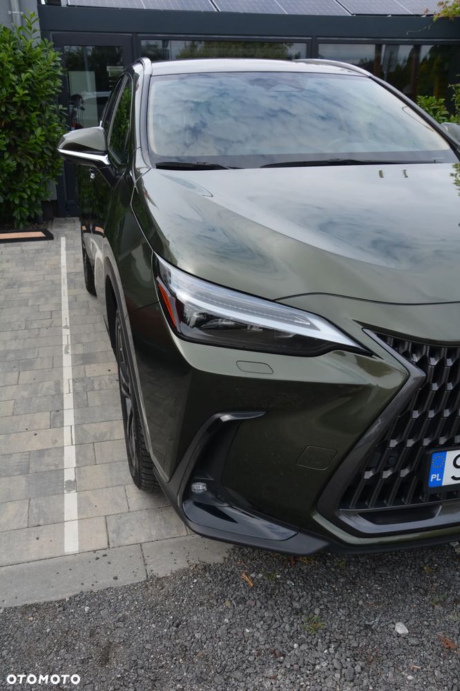 Lexus NX - 29