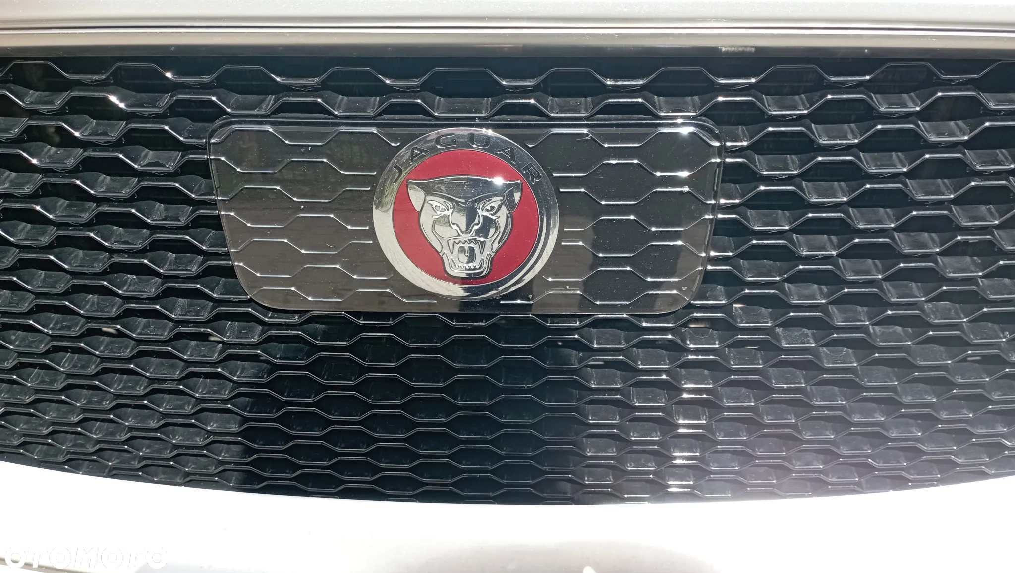 Jaguar F-Pace 2.0 i4D AWD R-Sport - 21