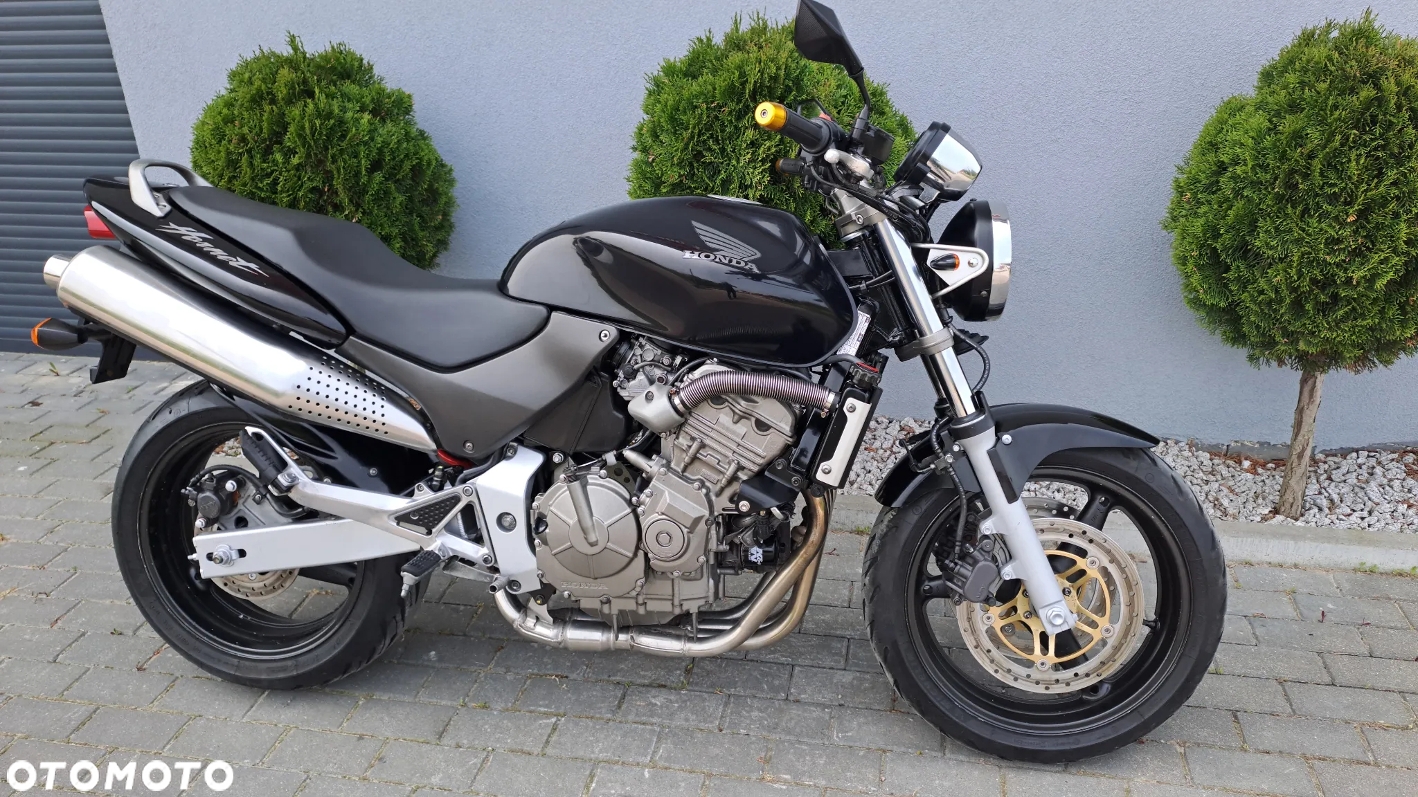 Honda Hornet - 24