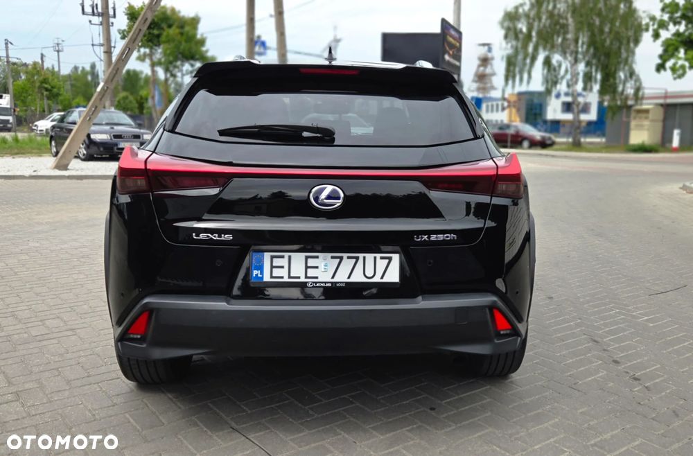 Lexus UX 250h GPF Prestige 2WD - 14
