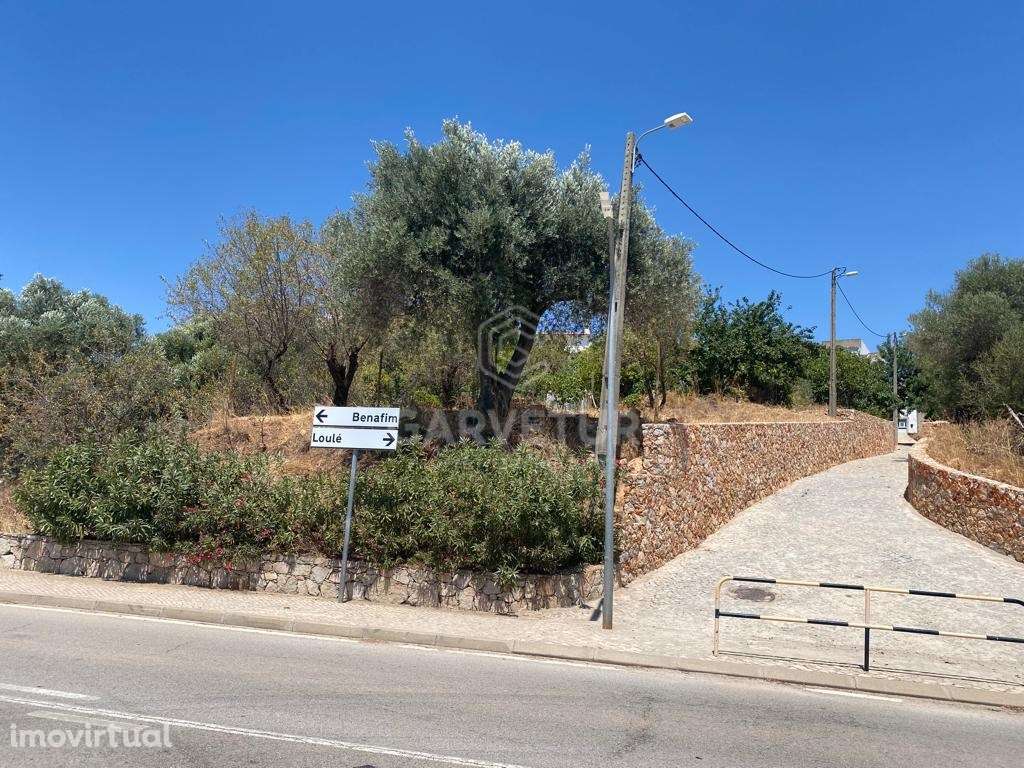 Terreno rústico em malha urbana, Salir, Algarve - Grande imagem: 4/13