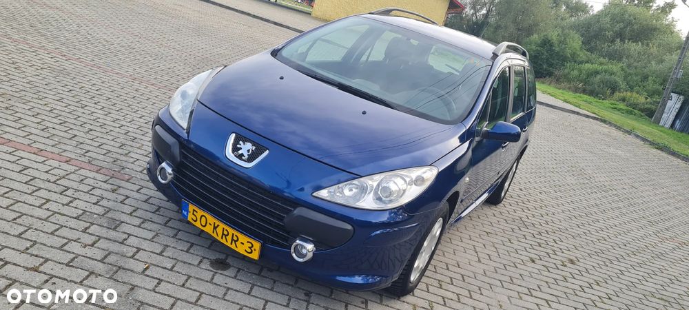 Peugeot 307 110 Premium - 25
