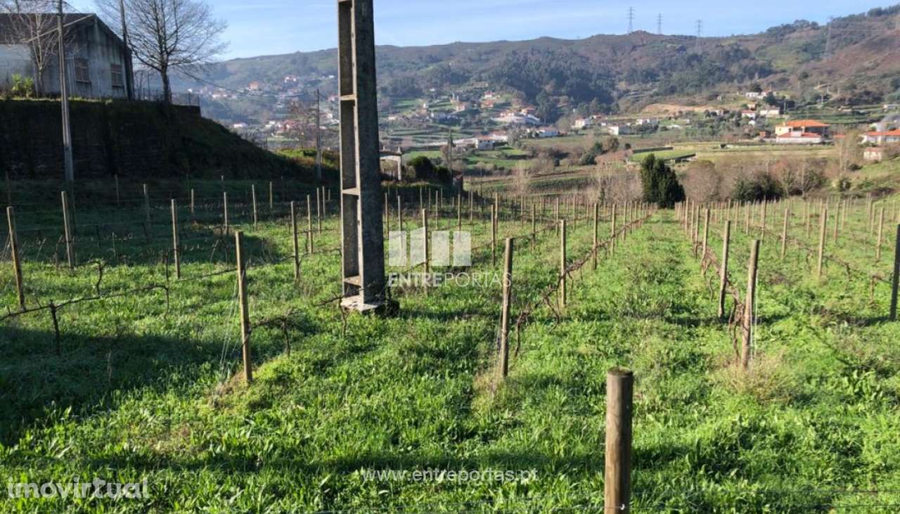 Venda de Terreno em Gôve Baião - Grande imagem: 3/19