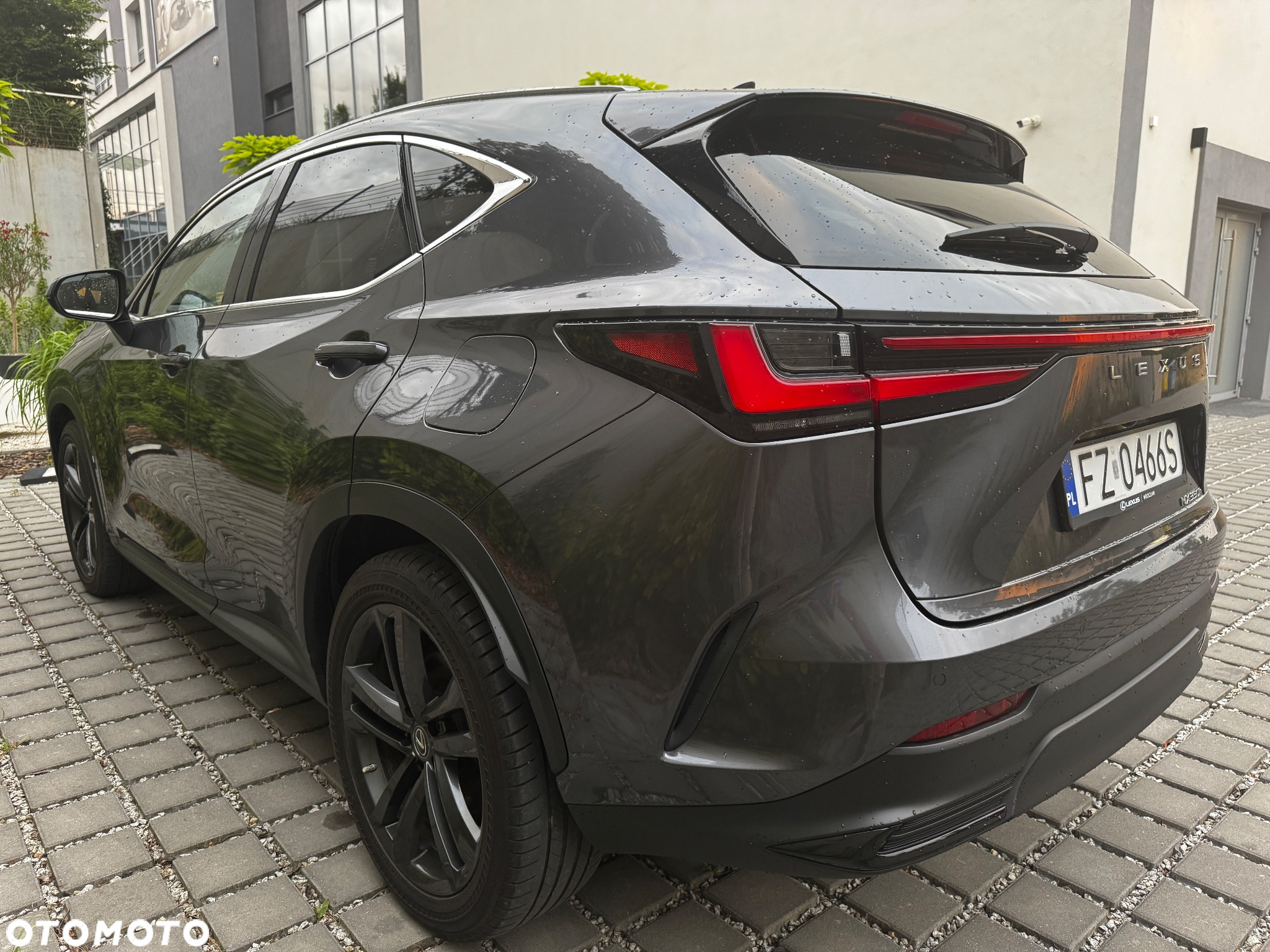 Lexus NX - 6